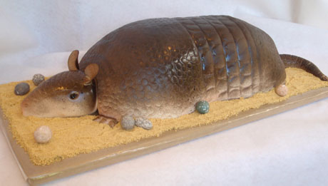 Armadillo Cake