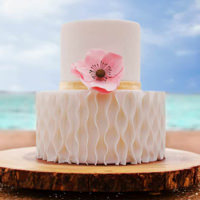 Elegant Small Cake